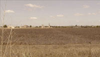 02Campos-Mallorcaweb
