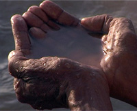 india01