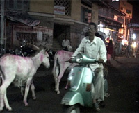 india02