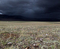 mongolia03