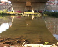 segre02
